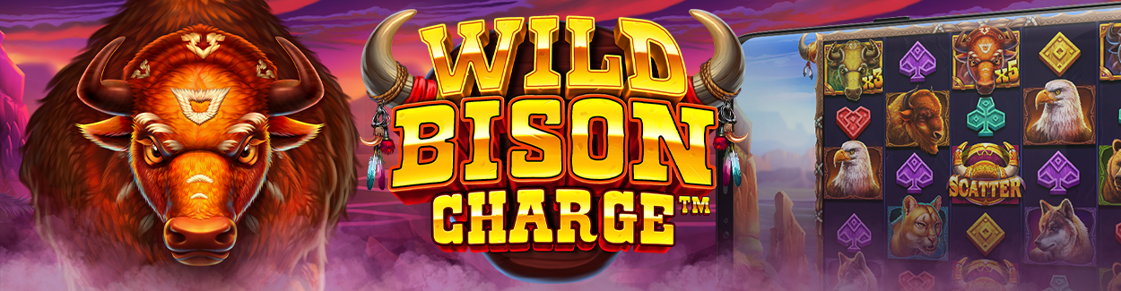 WILD BISON CHARGE